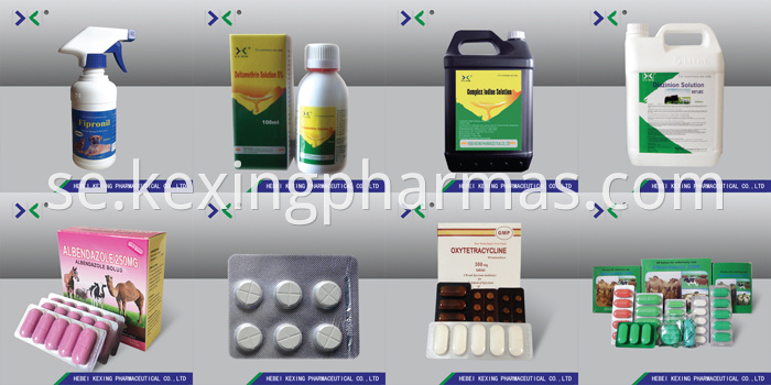 Oxytetracycline Tablet Chicken